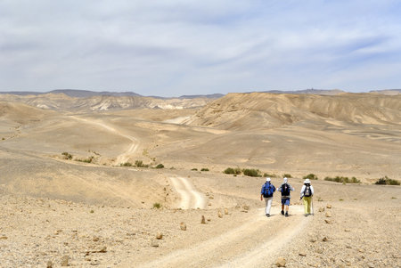 Tourist trail in Judea desert near Dead sea, Israelの写真素材