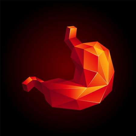 Red low poly human stomach on a black background. Abstract anatomy organ. Stomach in 3D polygon style.のイラスト素材