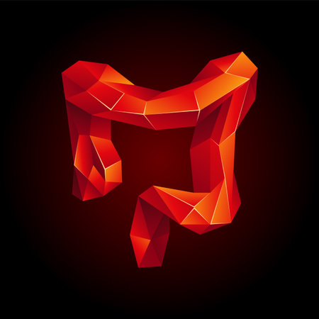 Red low poly human colon on a black background. Abstract anatomy organ. Large intestine in 3D polygon style.のイラスト素材
