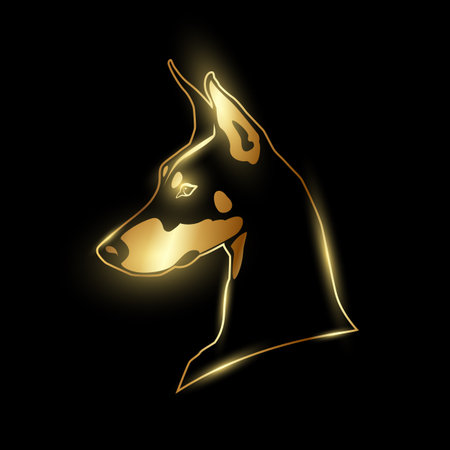 Gold Doberman head logo on a black background. Strict Dog golden silhouette side view.のイラスト素材