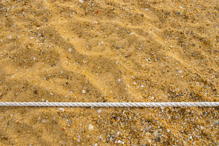 White rope on the sand beach with seashells. Copy space.の写真素材