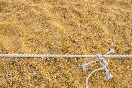 White rope on the sand beach with seashells. Copy space.の写真素材