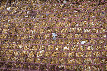 A part of safety net on sand beach. Detail. Copy space.