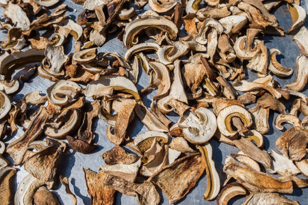 Sliced fresh Boletus Edulis mushrooms on metal surface. Drying process under sunlight.の写真素材