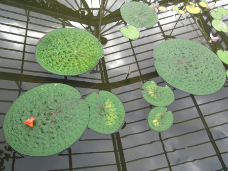 The game of the natureの写真素材