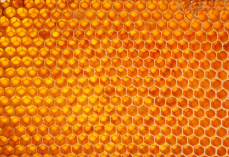 Yellow honeycomb wax cell detail texture background