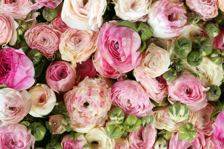 Pink flower background isolated with green leaf
