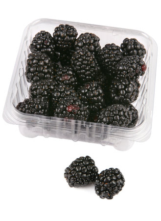 Blackberry fruit detail isolated on white backgroundの写真素材