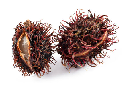 Rambutan fruit detail isolated on white backgroundの写真素材