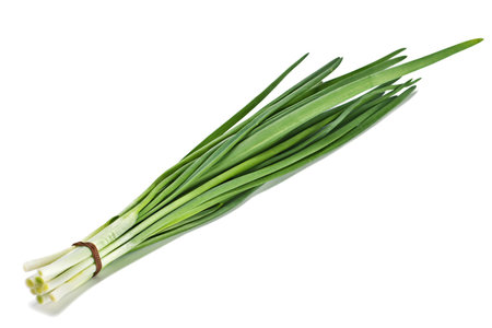 Fresh green onion bunch on white backgroundの写真素材