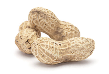 Peanut in shell closeup isolated on white background