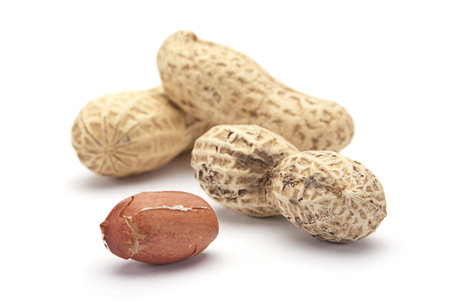 Peanut in shell closeup isolated on white background