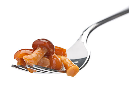 Orange fairy ring mushroom on metal forkの写真素材