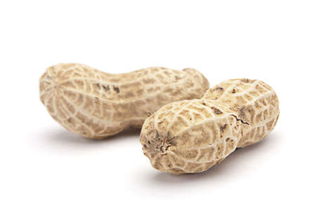 Peanut in shell closeup isolated on white backgroundの写真素材