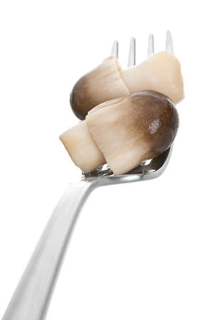 Gray edible salted mushroom in metal fork isolated on whiteの写真素材