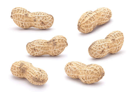 Peanut set closeup isolated on white backgroundの写真素材