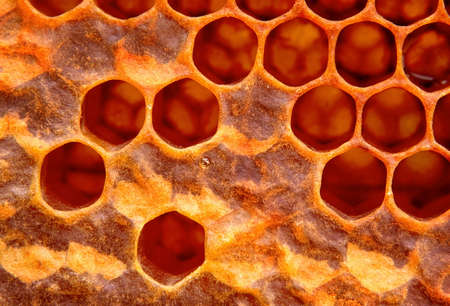 Honeycomb structure macro view background