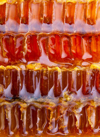 Honeycomb structure closeup backgroundの写真素材