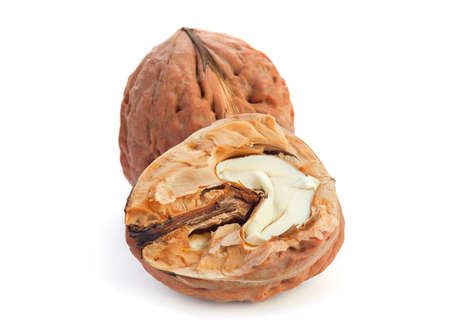 Giant walnut isolated on white