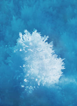 White frost toned in blue background 