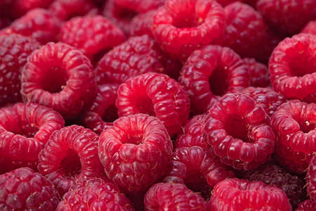 Ripe raspberry detail horizontal background