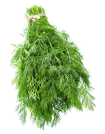 Dill herb closeup isolated on white backgroundの写真素材
