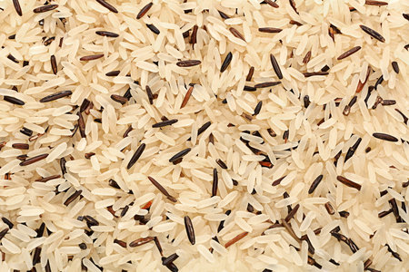 Wild and long polished rice closeup backgroundの写真素材