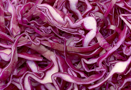 Purple cabbage slice closeup backgroundの写真素材