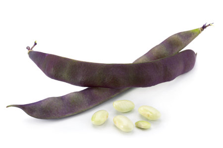 Purple bean vegetable isolated on white backgroundの写真素材