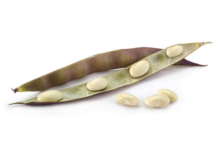 Purple bean vegetable isolated on white background
