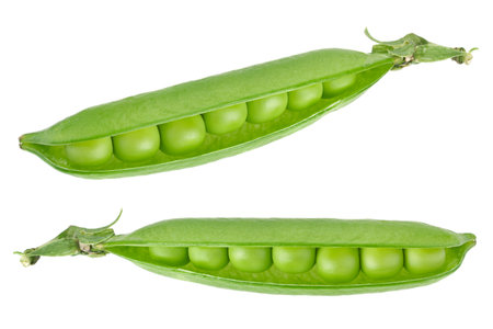 Young grean peas closeup isolated on white backgroundの写真素材