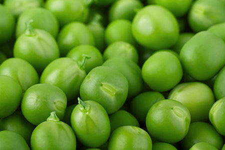 Young grean peas closeup view backgroundの写真素材