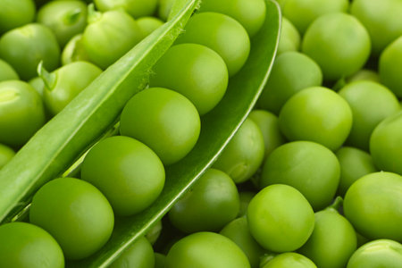 Young grean peas closeup view backgroundの写真素材