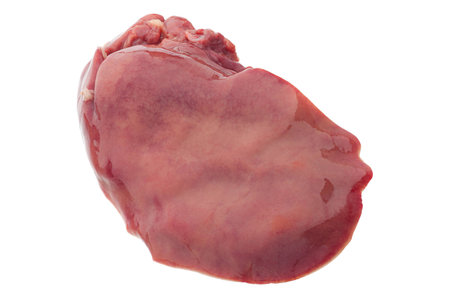 Chicken liver part closeup isolated on whiteの写真素材