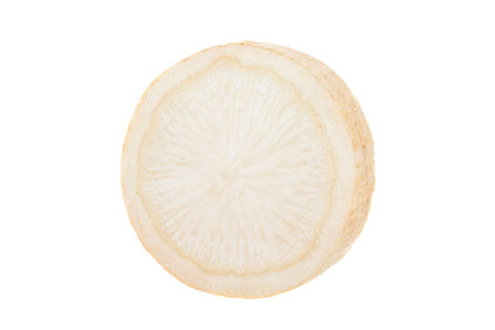Parnsnip round slice isolated on white backgroundの写真素材
