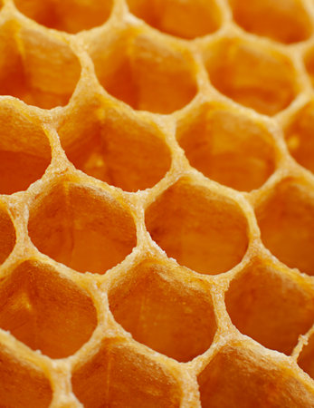 Yellow Honeycomb closeup texture detail horizontal backgroundの写真素材