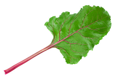 Beet root closeup leaf isolated on white background