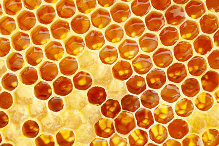 Yellow Honeycomb closeup texture detail horizontal background