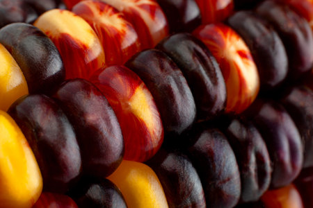 Decorative multicolor corn seeds closeup detailの写真素材