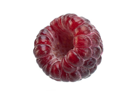 Cumberland fruit Hybrid raspberry and blackberry on white