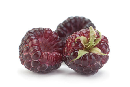 Cumberland fruit Hybrid raspberry and blackberry on white