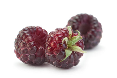 Cumberland fruit Hybrid raspberry and blackberry on white