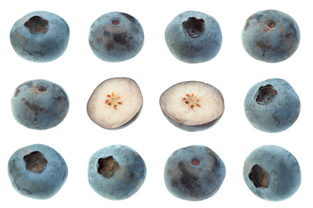 Blueberry berry set closeup isolated on white backgroundの写真素材