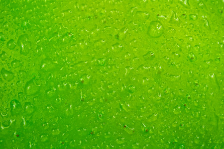 Green apple close-up with water dropsの写真素材