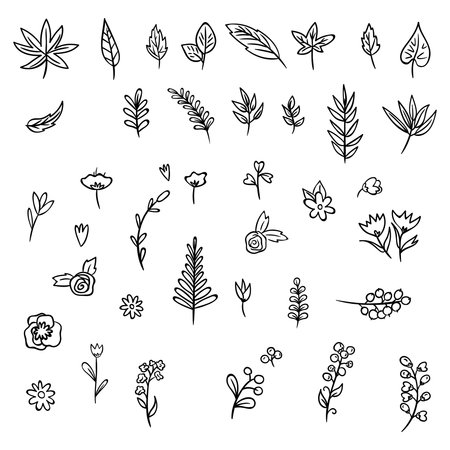 Big set of hand drawn vector flowers and branches with leaves, flowers, berries. Floral sketch collection. Decorative elements for design. Ink, vintage, rusticのイラスト素材