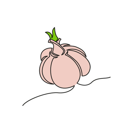 One continuous line drawing vegetables garlic, isolated on white background. Healthy eating concept.のイラスト素材