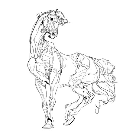 Expressive horse line drawing with fluid contours and dynamic movement. Elegant minimal vector illustration of running horse.のイラスト素材