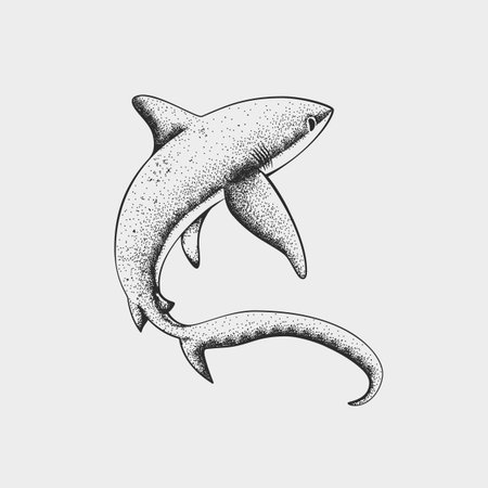 Detailed stipple dotwork illustration of a shark with dynamic curved pose. Black and white hand-drawn style for tattoo, ocean print, apparel or marine wildlife design.のイラスト素材