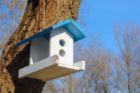 A white bird feeder with a blue roof hanging on a tree in the park. Caring for the brothers is our smaller concept. Spring cameの写真素材