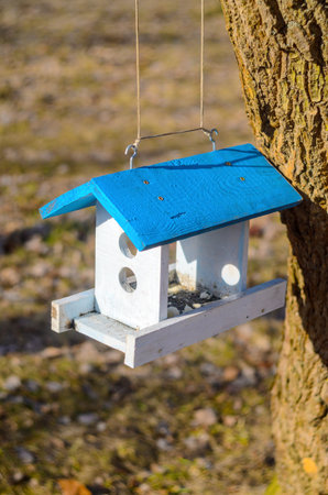 A white bird feeder with a blue roof hanging on a tree in the park. Caring for the brothers is our smaller concept. Spring cameの写真素材